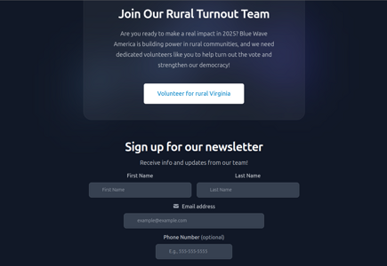 Additional screenshot of Blue Wave America's site showing a newsletter sign up form
